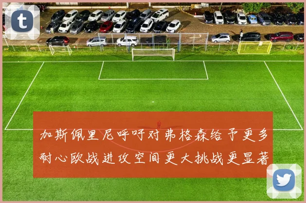 加斯佩里尼呼吁对弗格森给予更多耐心欧战进攻空间更大挑战更显著