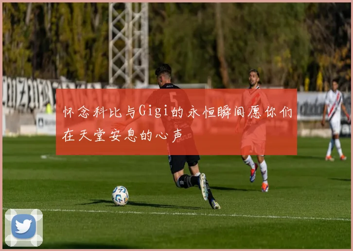 怀念科比与Gigi的永恒瞬间愿你们在天堂安息的心声