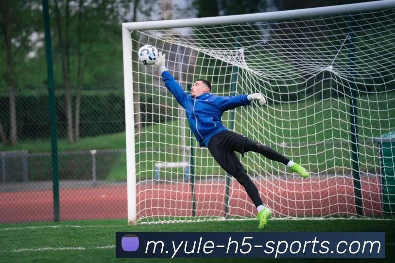 乐鱼体育发展历程